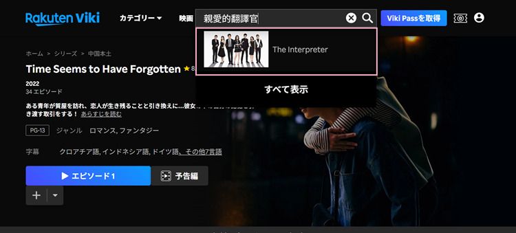 親愛的翻譯官（The Interpreter）を検索