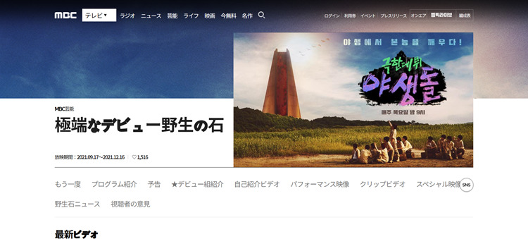 野生アイドルはどこで見れる？視聴方法・配信状況を紹介！