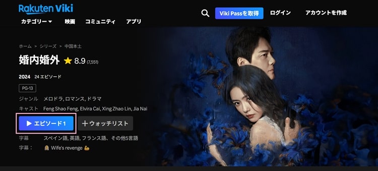 婚内婚外を再生